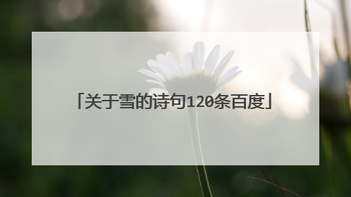 关于雪的诗句120条百度