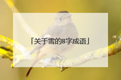 关于雪的8字成语