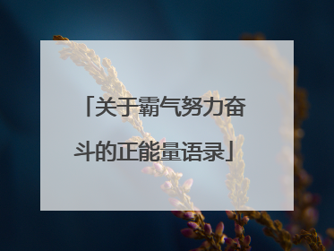 关于霸气努力奋斗的正能量语录