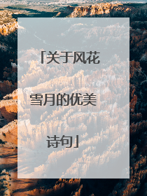 关于风花雪月的优美诗句