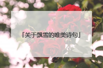 关于飘雪的唯美诗句