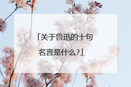 关于鲁迅的十句名言是什么?