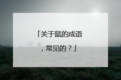 关于鼠的成语,常见的?