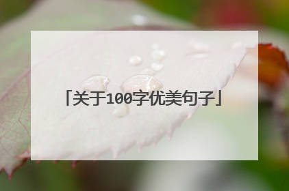 关于100字优美句子