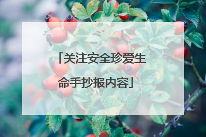 关注安全珍爱生命手抄报内容