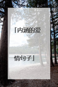 内涵的爱情句子