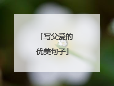 写父爱的优美句子
