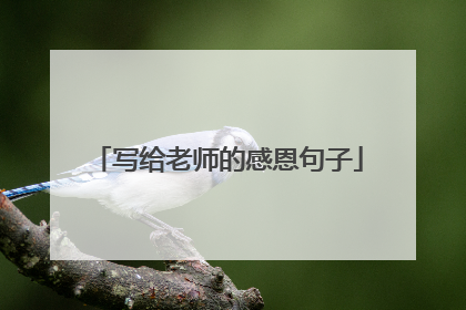 写给老师的感恩句子