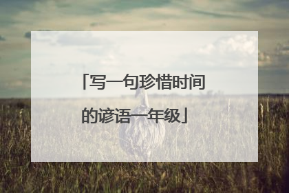 写一句珍惜时间的谚语一年级