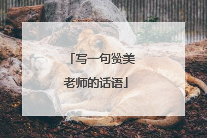 写一句赞美老师的话语