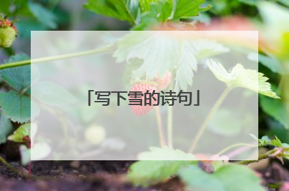 写下雪的诗句