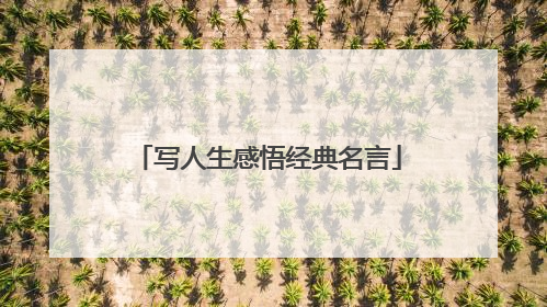 写人生感悟经典名言