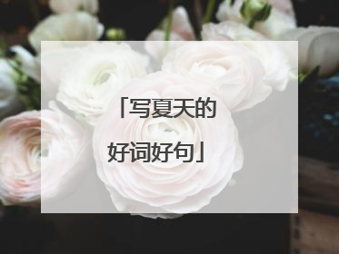 写夏天的好词好句