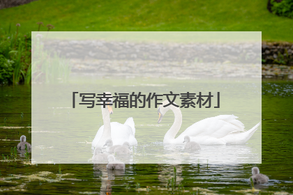 写幸福的作文素材