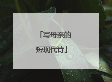 写母亲的短现代诗