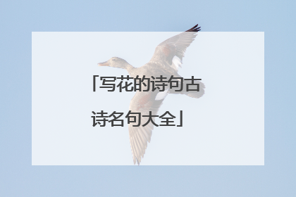 写花的诗句古诗名句大全