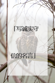 写诚实守信的名言