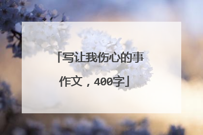 写让我伤心的事作文,400字