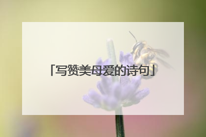 写赞美母爱的诗句