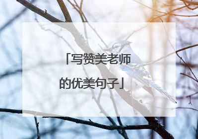 写赞美老师的优美句子