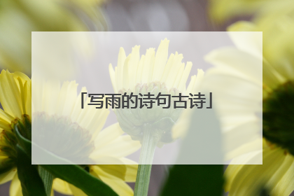 写雨的诗句古诗