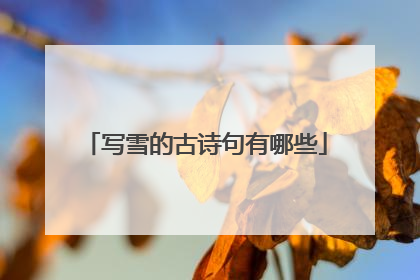 写雪的古诗句有哪些