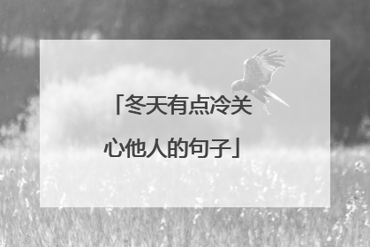 冬天有点冷关心他人的句子
