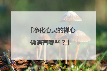 净化心灵的禅心佛语有哪些?
