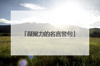 凝聚力的名言警句