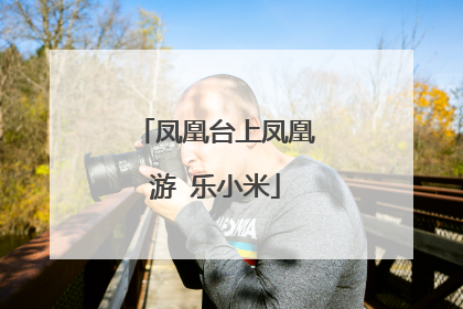 凤凰台上凤凰游 乐小米