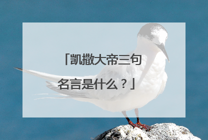 凯撒大帝三句名言是什么？