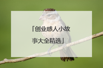 创业感人小故事大全精选