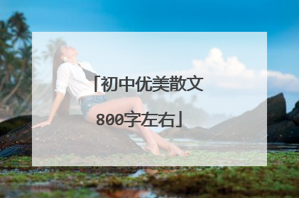 初中优美散文800字左右