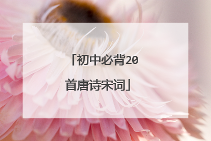 初中必背20首唐诗宋词