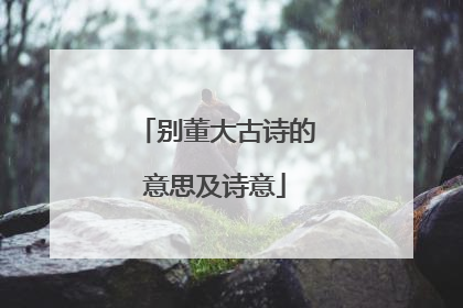 别董大古诗的意思及诗意