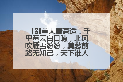 别董大唐高适,千里黄云白日曛,北风吹雁雪纷纷,莫愁前路无知己,天下谁人不识君?的意思