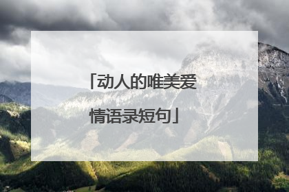 动人的唯美爱情语录短句