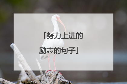 努力上进的励志的句子