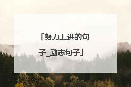 努力上进的句子_励志句子