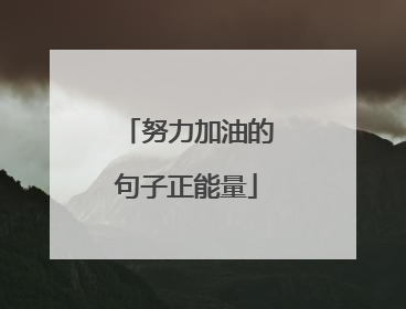 努力加油的句子正能量