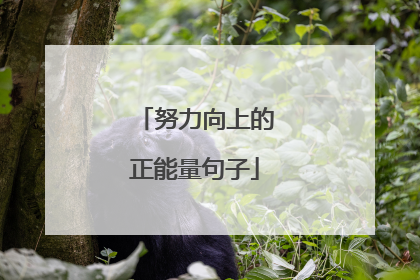 努力向上的正能量句子