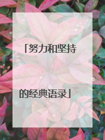 努力和坚持的经典语录
