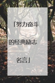 努力奋斗的经典励志名言