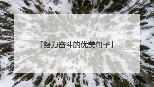 努力奋斗的优美句子