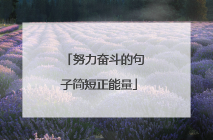努力奋斗的句子简短正能量