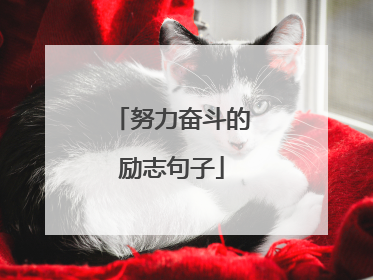 努力奋斗的励志句子