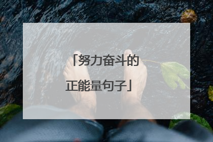 努力奋斗的正能量句子