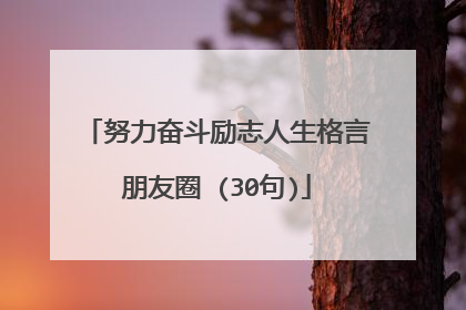 努力奋斗励志人生格言朋友圈 (30句)