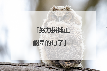 努力拼搏正能量的句子