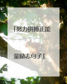 努力拼搏正能量励志句子